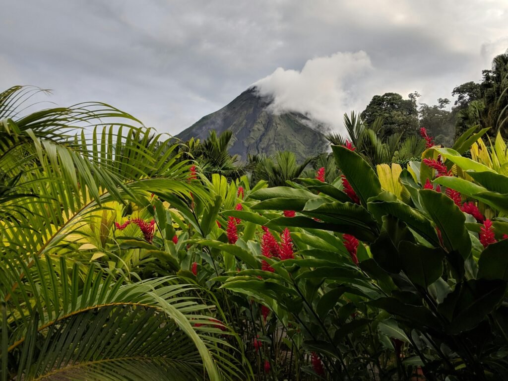 Experiencia cultural y de naturaleza en Costa Rica