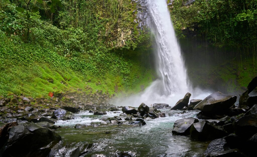 Tour personalizado en la selva tropical de Costa Rica